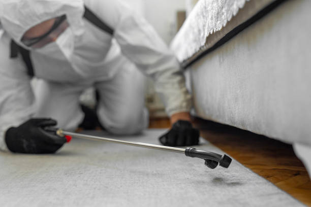 Professional Bed Bug Control technician working in Woodmoor, CO
