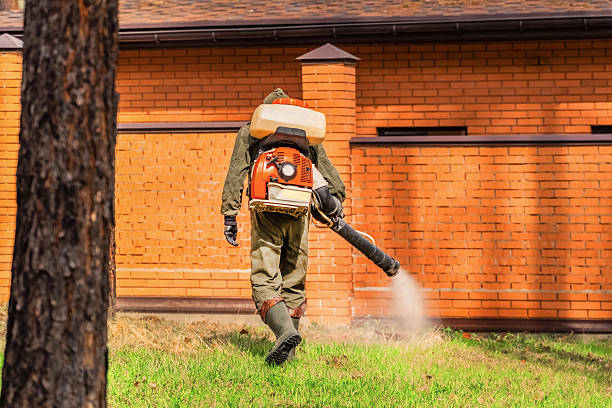 Trusted Rodent Control service in Woodmoor, CO - Nex Pest Control